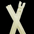502 Ivory