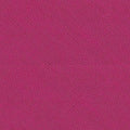 9234 Cerise