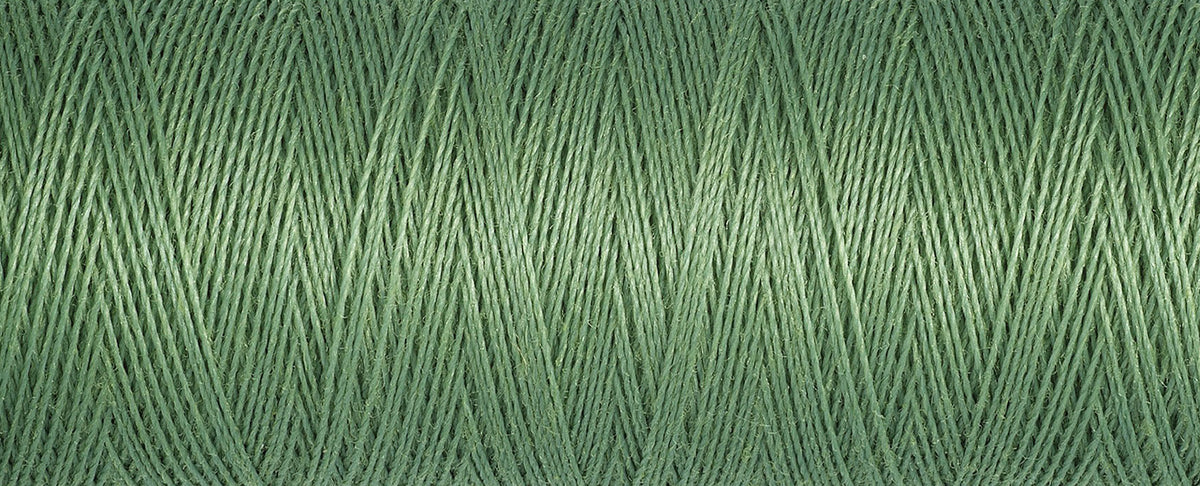 Gutermann colour 821